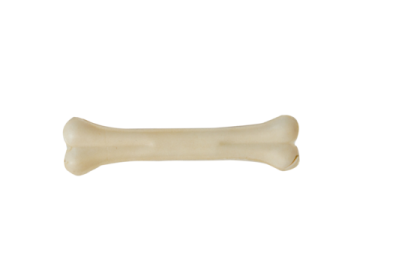 A bone on a white background