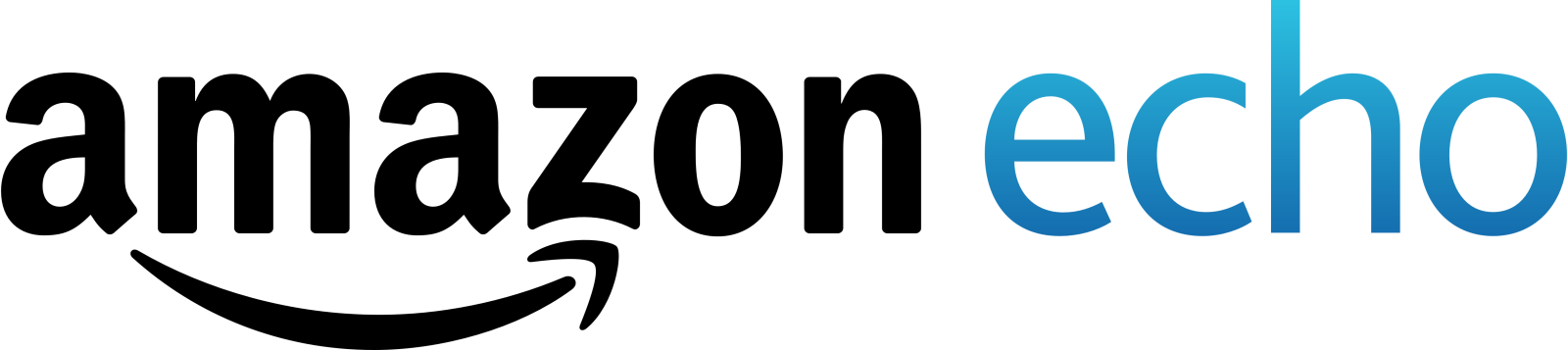 the amazon echo logo