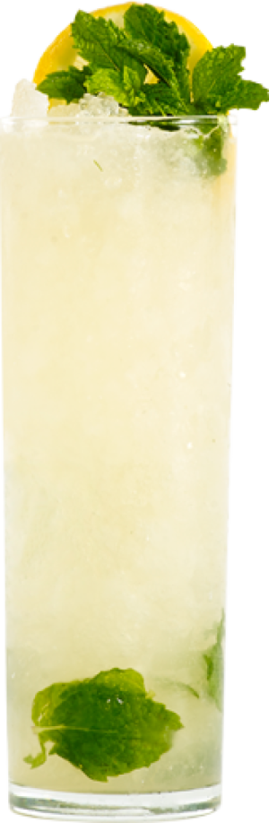 a tall glass filled with lemon and mint