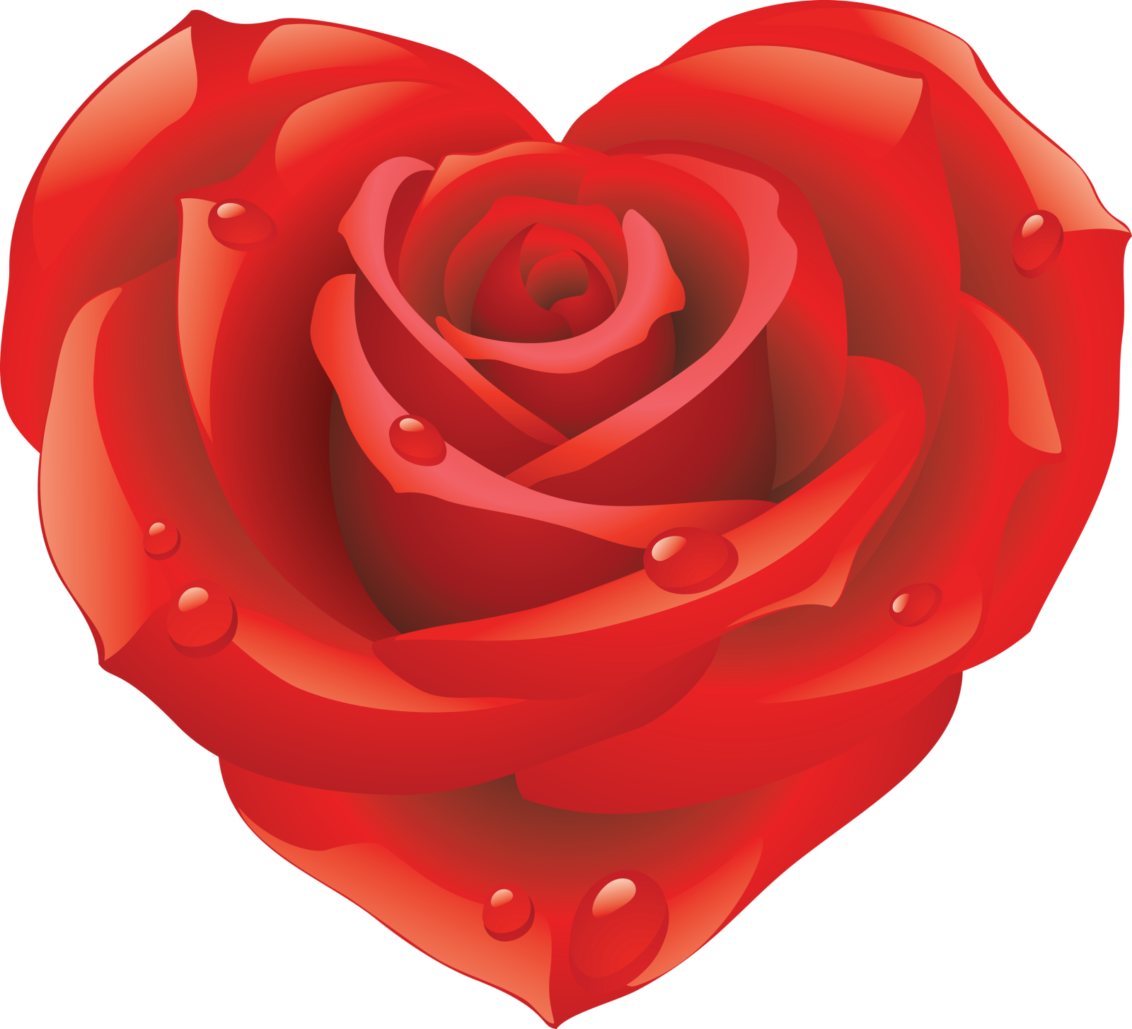 a red rose with water droplets on it