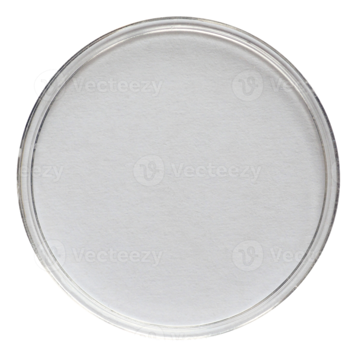 a round glass plate on a white background