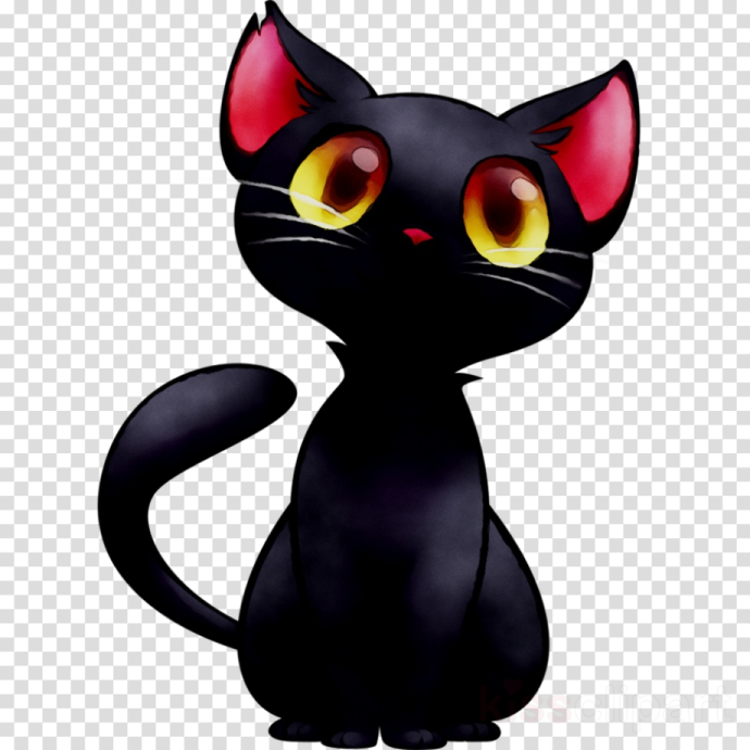 a black cat with yellow eyes sitting on a white background