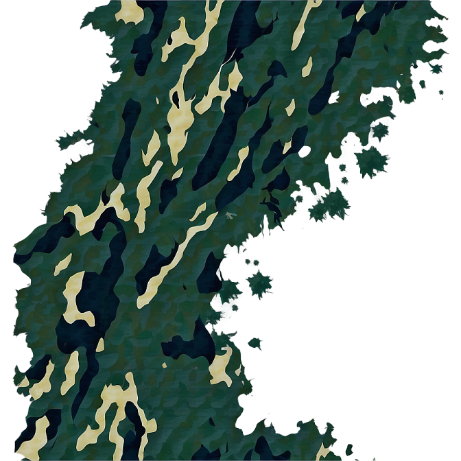 a map of ireland with camouflage cams