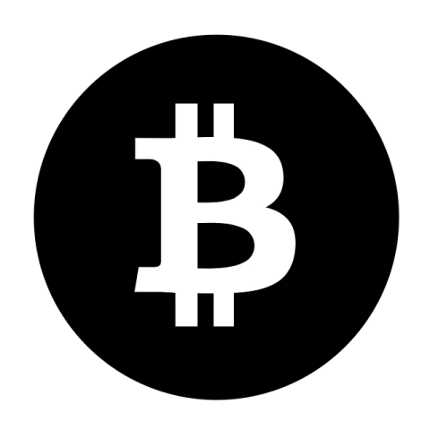 the bitcoin logo