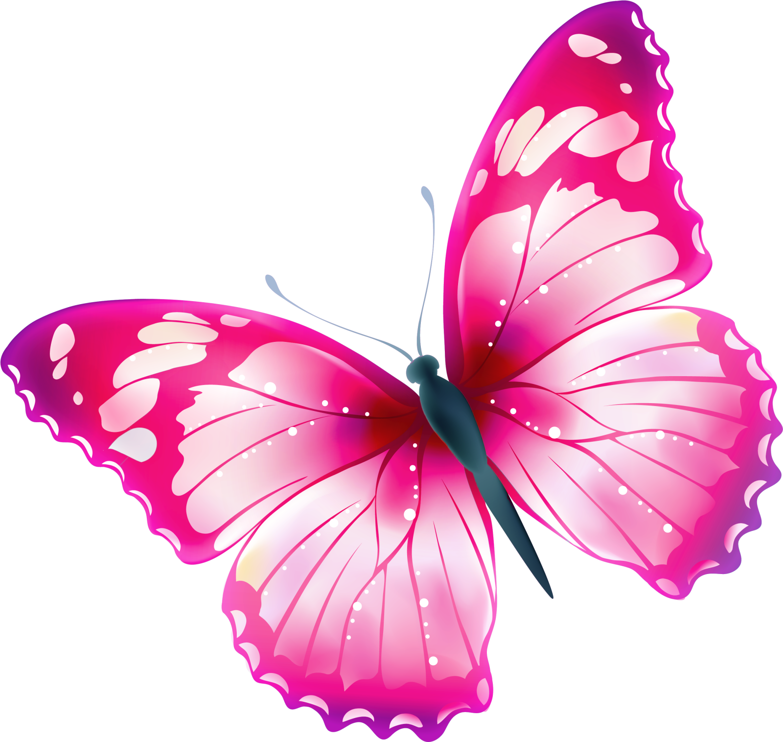 a pink butterfly on white background
