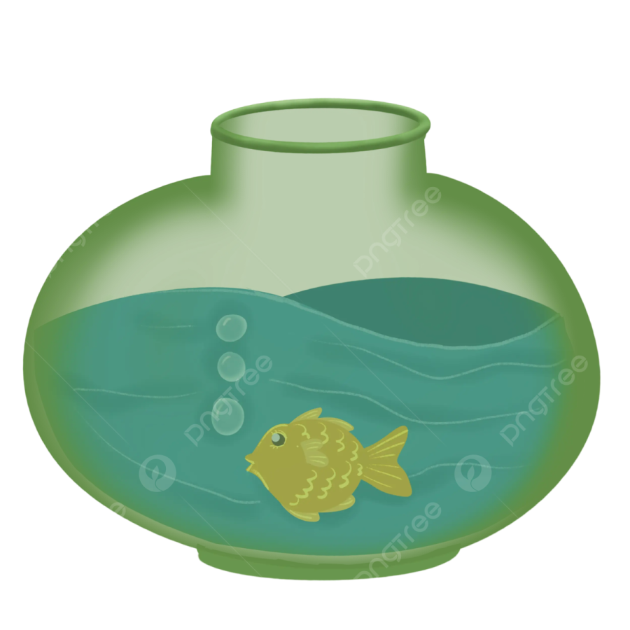 a goldfish swimming in an aquarium