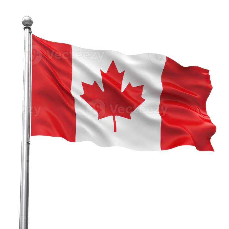 a canadian flag flying in the wind