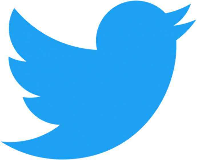 the twitter logo