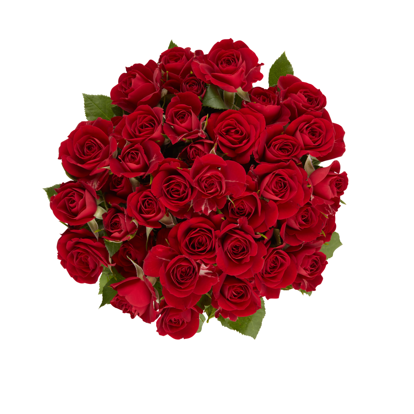 a bouquet of red roses