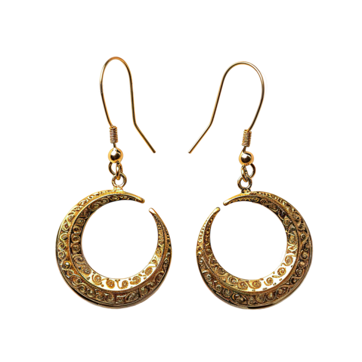 an image of a pair of earrings
