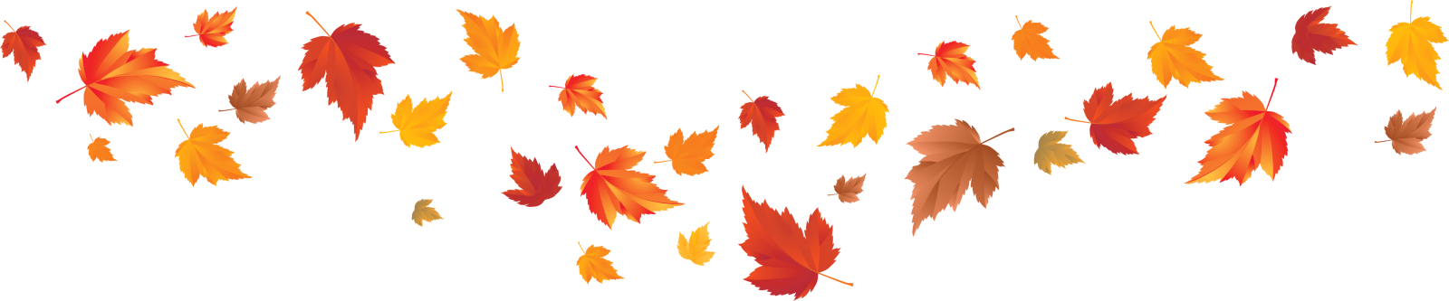 a bunch of leaves flying in the air