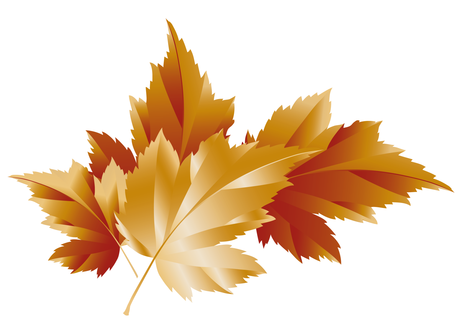 a golden maple leaf on a white background
