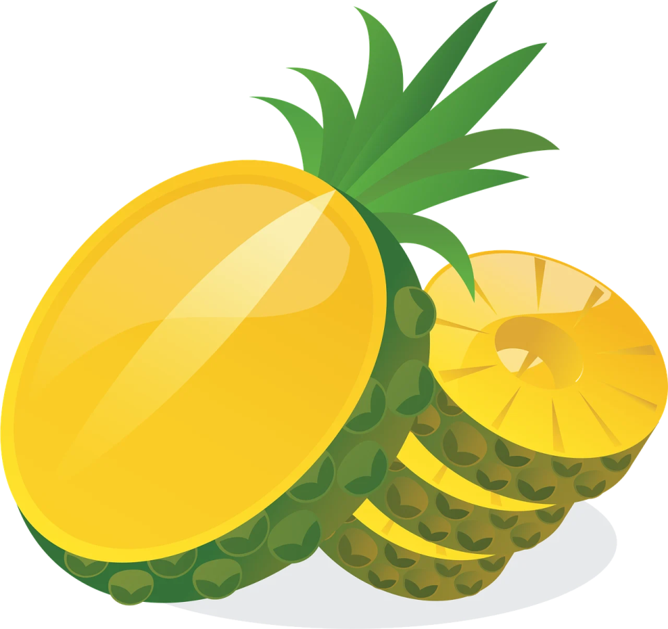 a pine fruit with slices and leaves