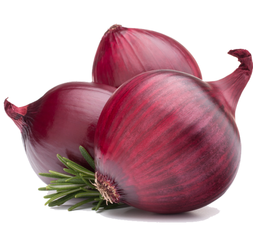 two red onions on a white background