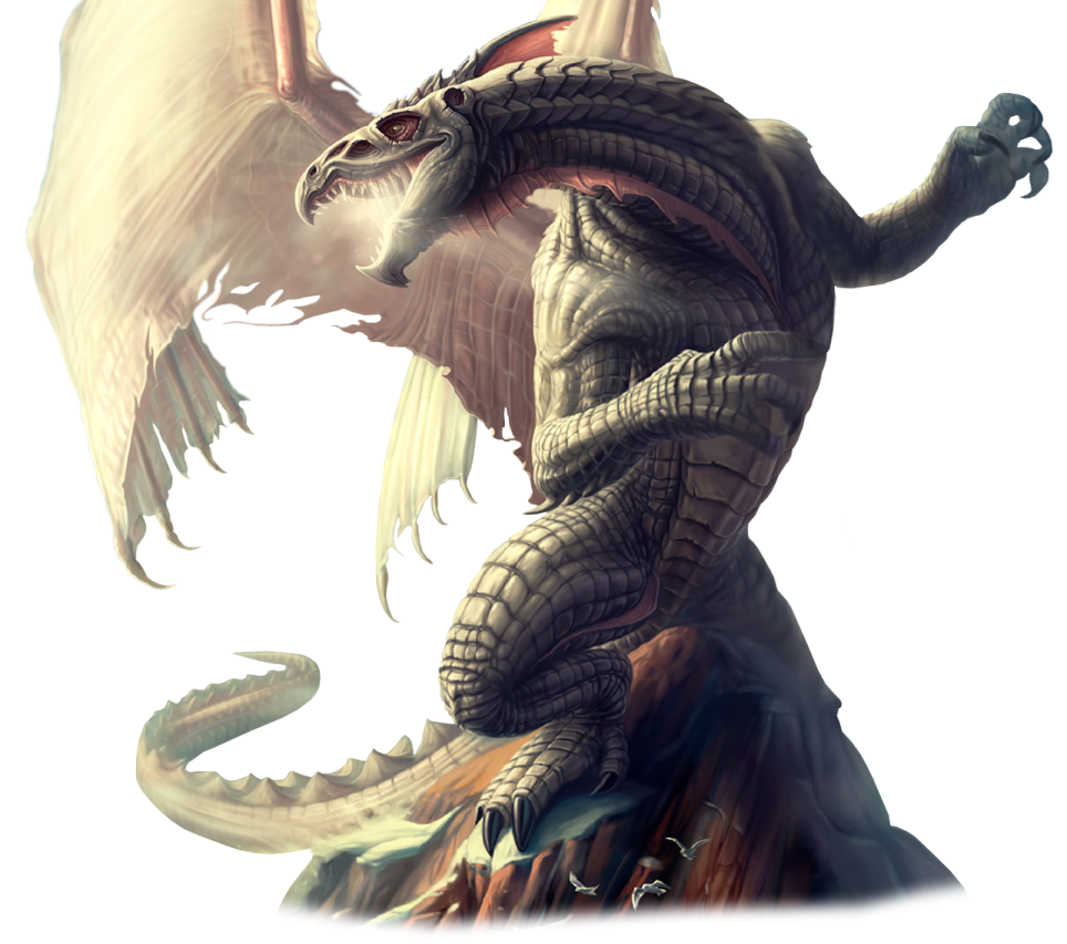 an image of a dragon on a white background