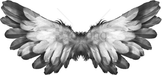 black and white wings png