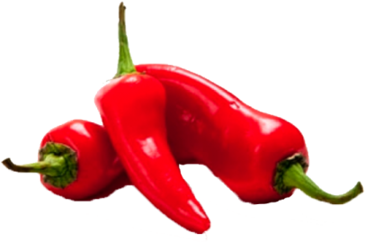 two red peppers on a white background