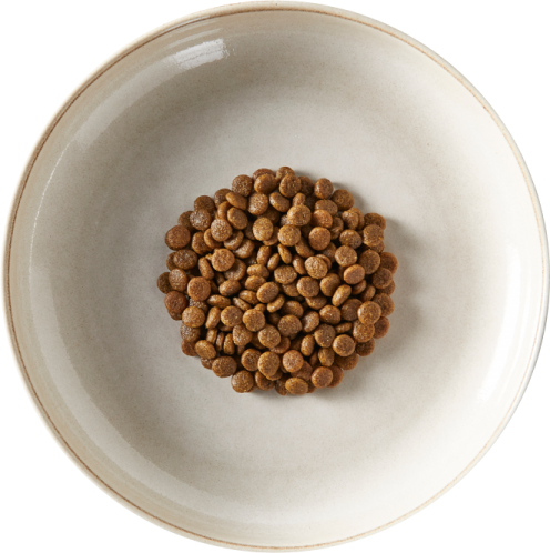 a white bowl filled with dry dog food