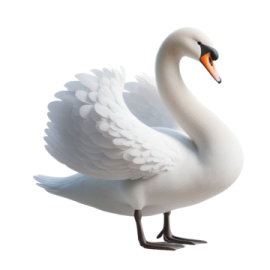 a white swan with its wings spread out