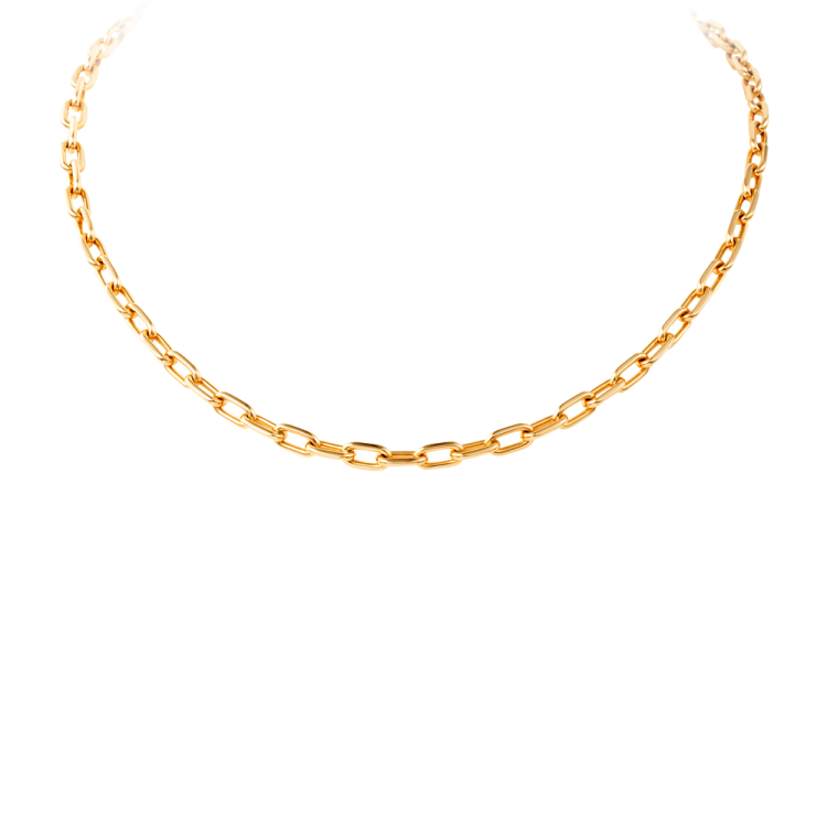 an image of a gold chain necklace