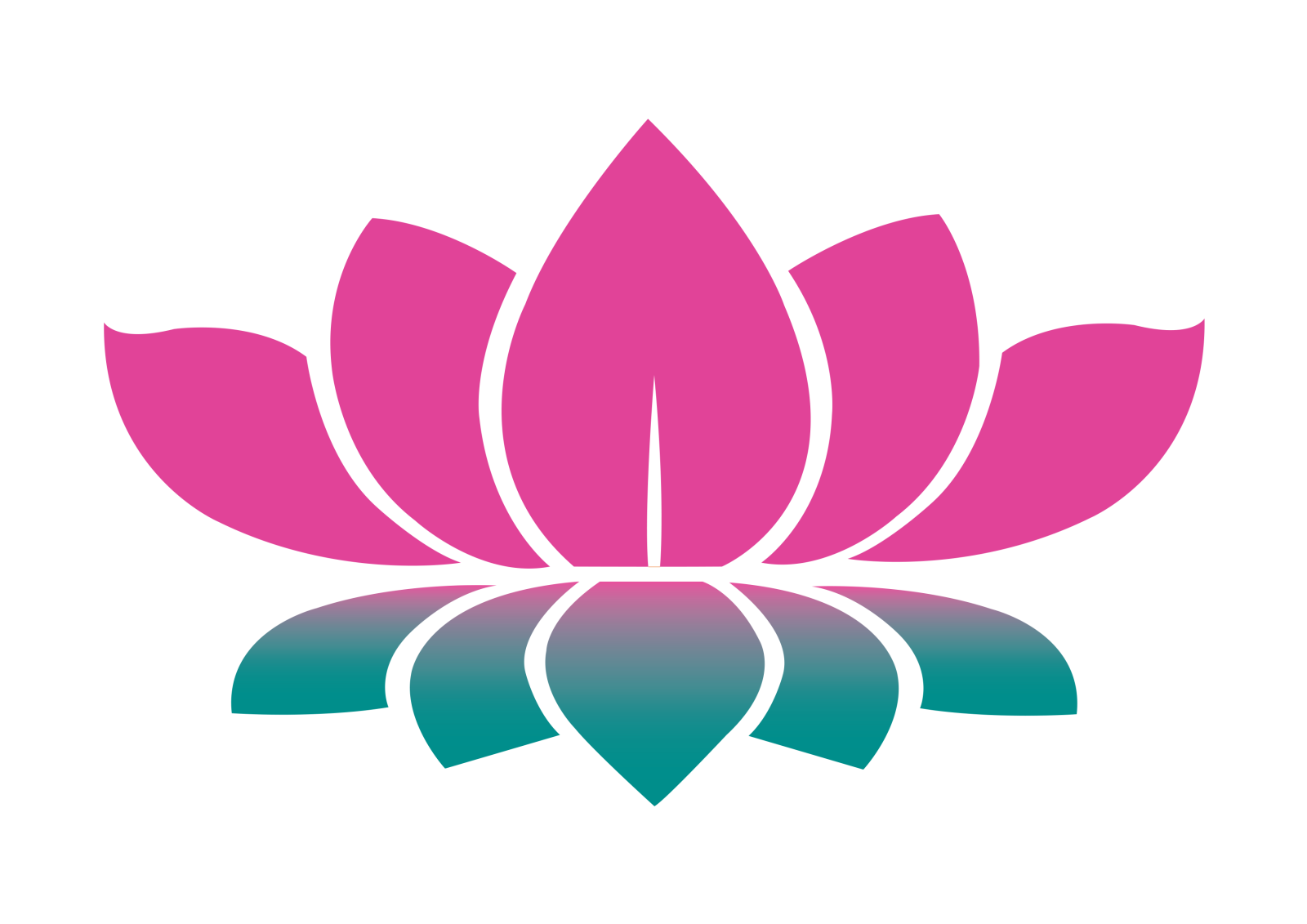 a lotus flower on a white background