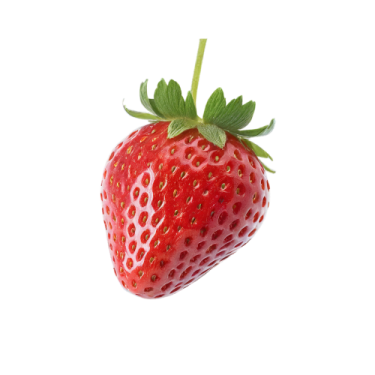a strawberry on a white background