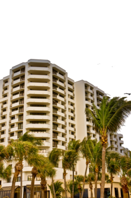 palm trees in front of the building