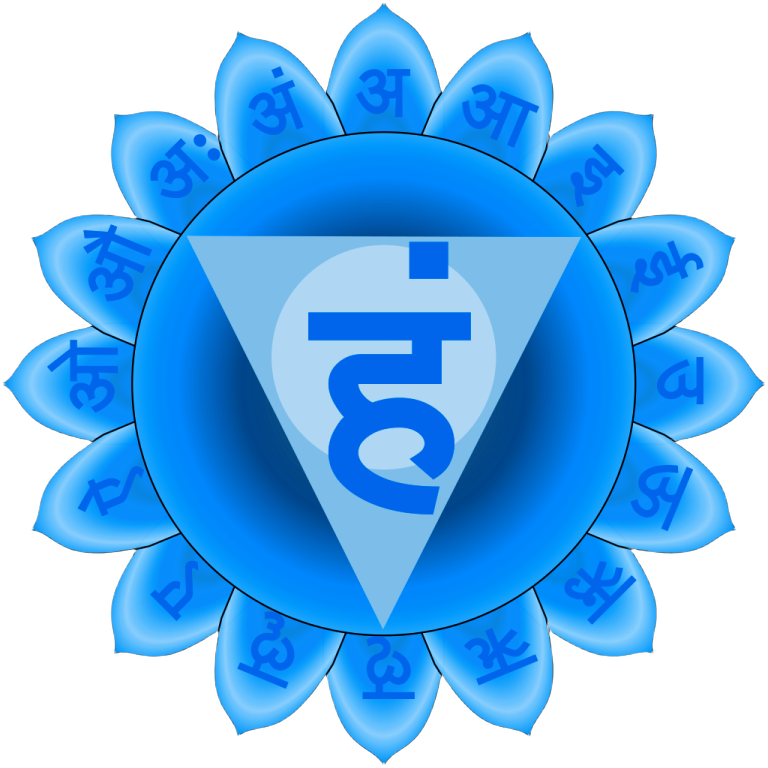a blue lotus with the number 5 on it