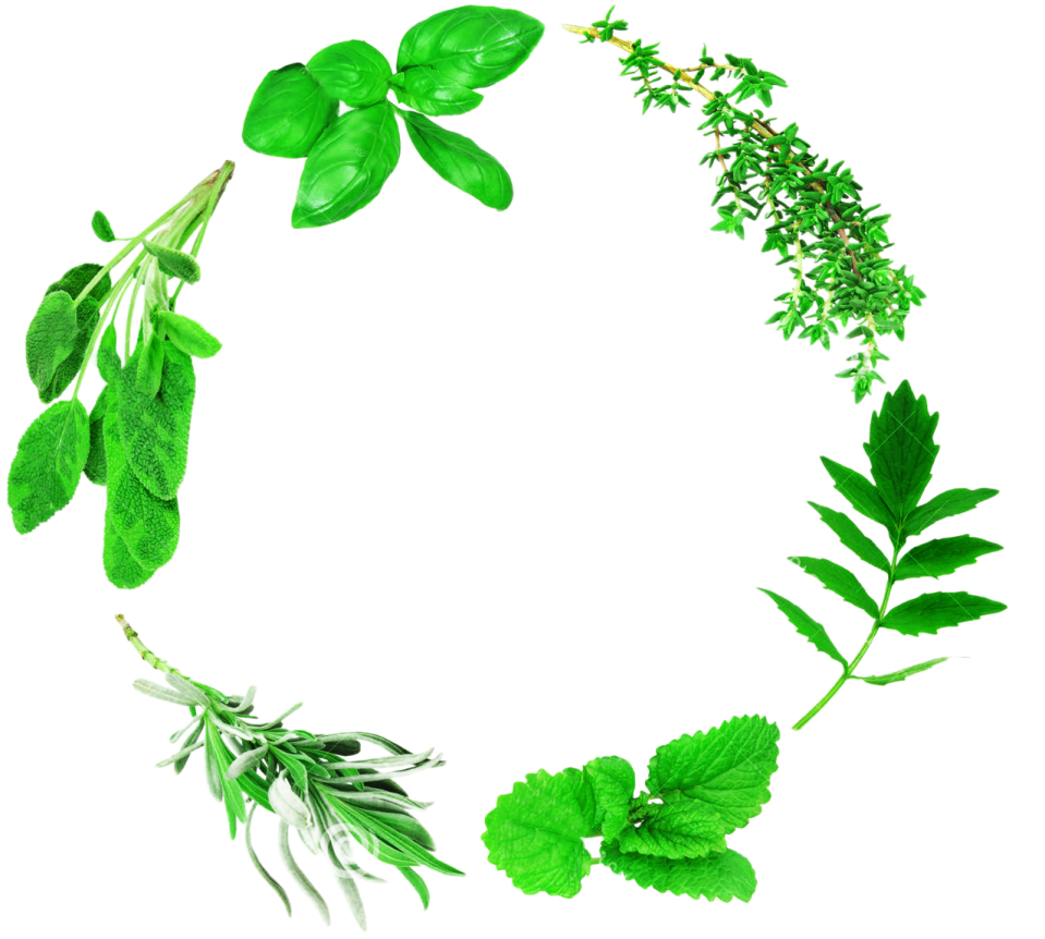 herbs arranged in a circle