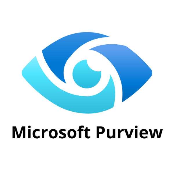 the microsoft logo with the word microsoft on it