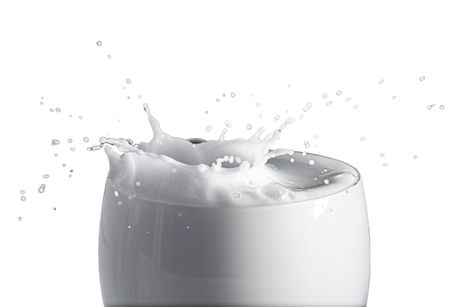 a glass filled with milk on a white background
