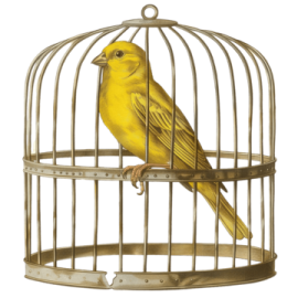 a bird in a cage on a white background