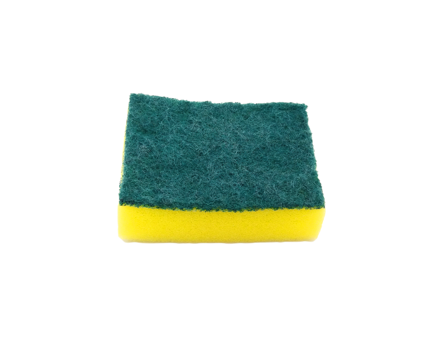 a sponge on a white background