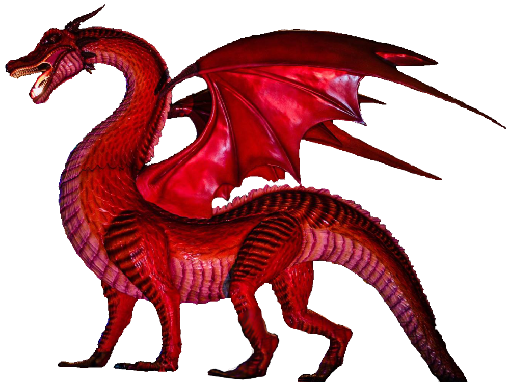 a red dragon on a white background