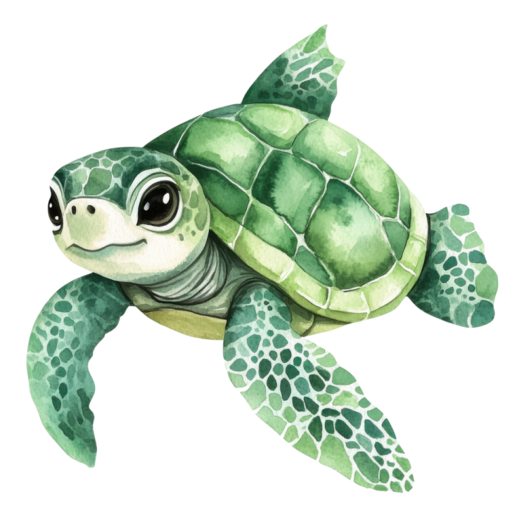a watercolor painting of a green turtle
