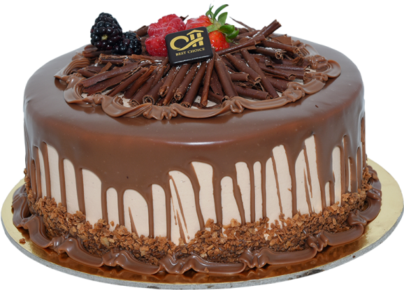 a chocolate covered cake on a white background