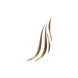 a white background with brown lines on it