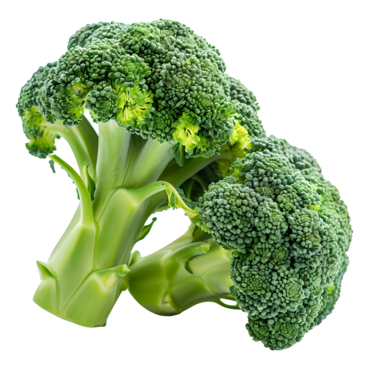 a close up of a bunch of broccole