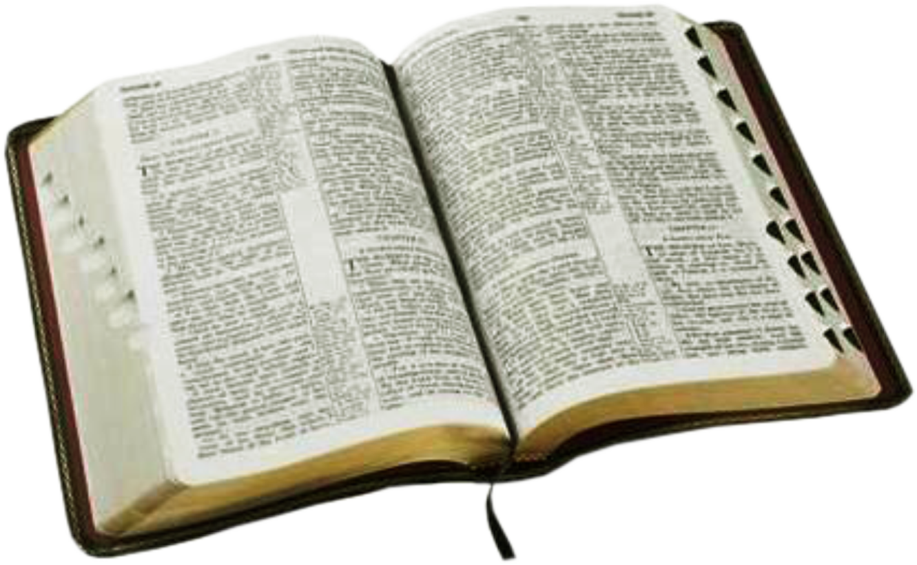 an open bible on a white background