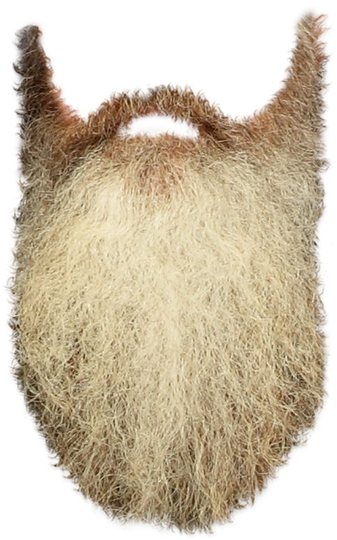 a close up of a beard on a white background