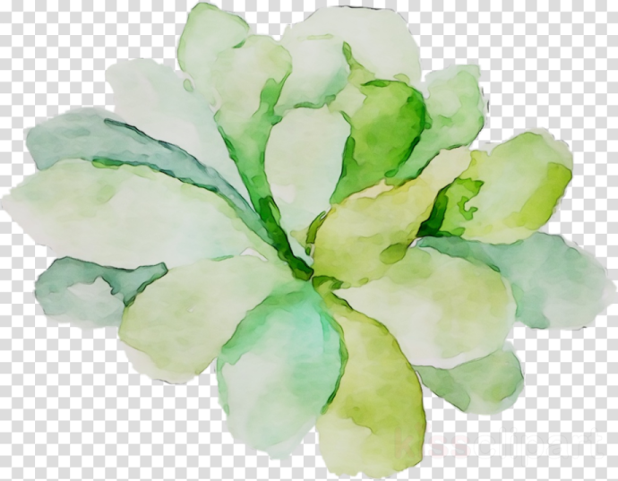 a watercolor painting of green leaves on transparent background