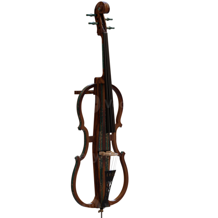 a violin on a white background