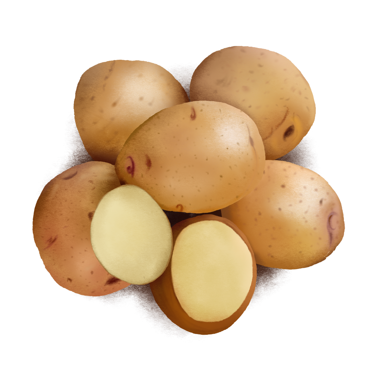 a pile of potatoes on a white background
