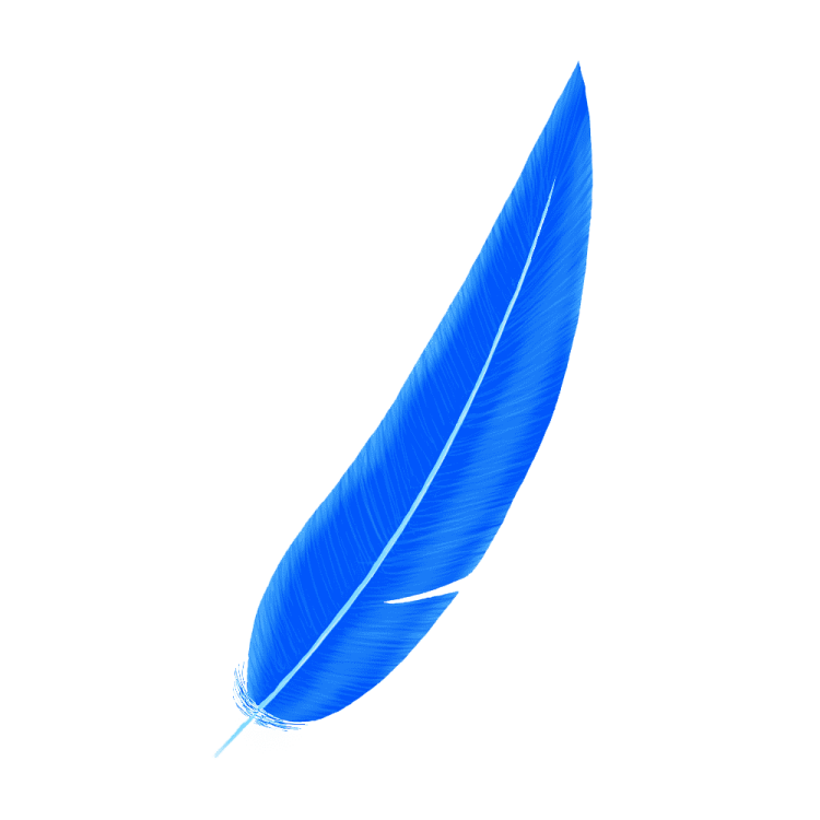 a blue feather on a white background