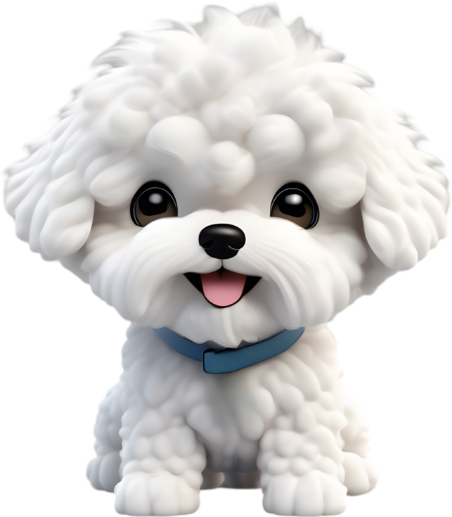 a small white dog with a blue collar