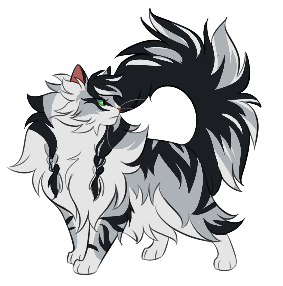 a black and white cat with green eyes