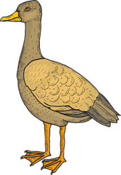 a drawing of a duck