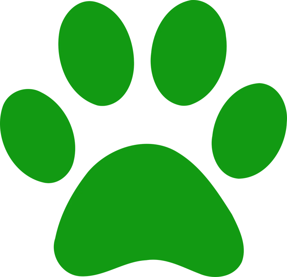 a green paw on a white background