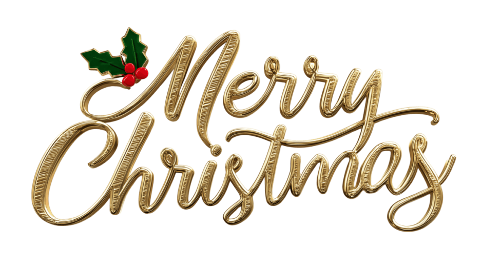 the word merry christmas with a holly on top of it