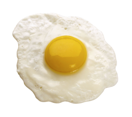 a fried egg on a white background